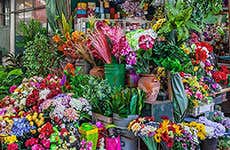 Marché do Bolhão